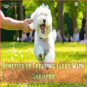 Benefits of Treating Fleas With Shampoo