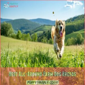 Best All-Around Farm Dog Breeds