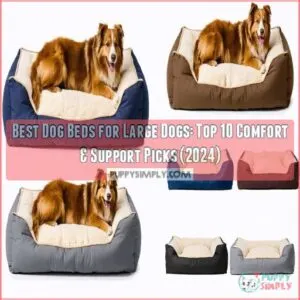 best dog beds for large dogs