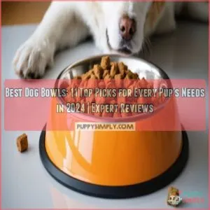 best dog bowls