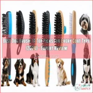 best dog brush