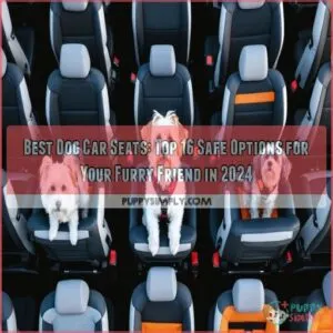 best dog car seats