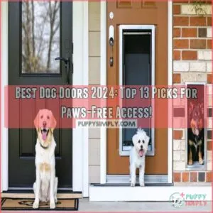 best dog doors