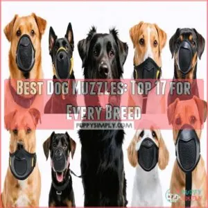 best dog muzzles