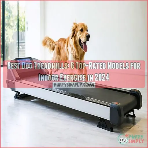 best dog treadmills