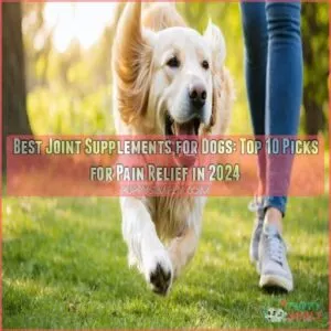 best joint supplements for dogs