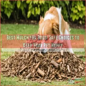 best mulch for dogs