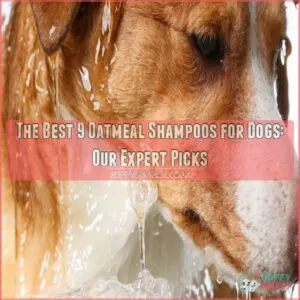 best oatmeal shampoo for dogs