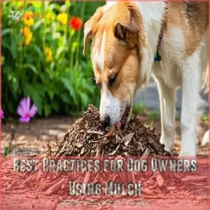 Best Practices for Dog Owners Using Mulch