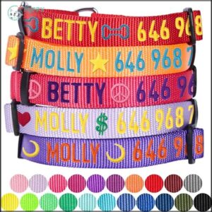 Blueberry Pet Essentials Personalized Martingale