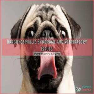 Brachycephalic Syndrome and Respiratory Issues