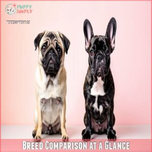 Breed Comparison at a Glance