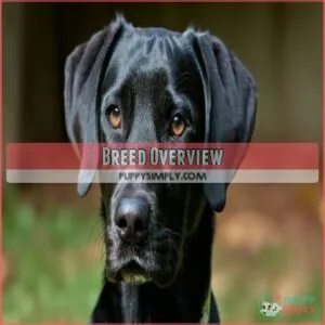 Breed Overview