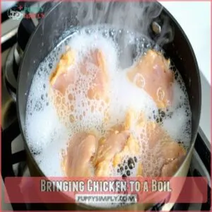 Bringing Chicken to a Boil