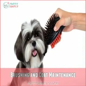 Brushing and Coat Maintenance