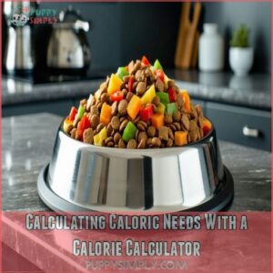 Calculating Caloric Needs With a Calorie Calculator