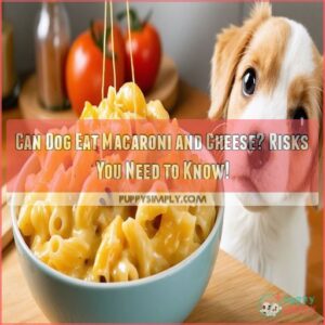 can dog eat macaroni and cheese