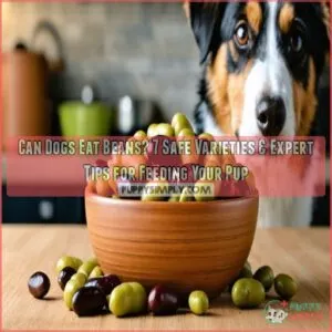 can dogs eat beans