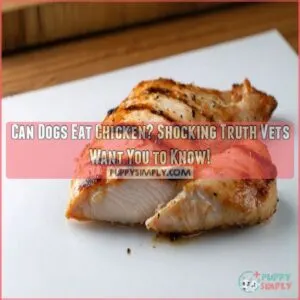 can dogs eat chicken