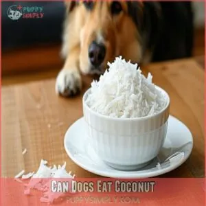 Can Dogs Eat Coconut