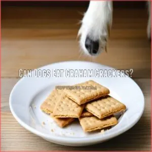 Can Dogs Eat Graham Crackers