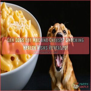 can dogs eat mac and cheese