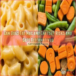 can dogs eat mac cheese