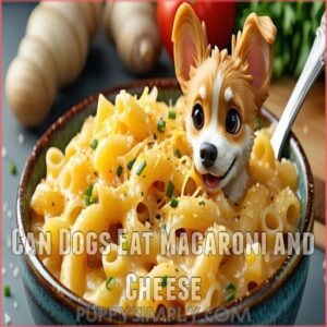 Can Dogs Eat Macaroni and Cheese