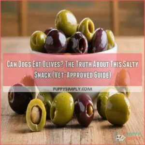 can dogs eat olives