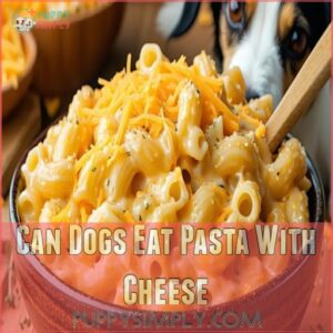 Can Dogs Eat Pasta With Cheese