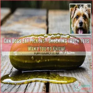 can dogs eat pickles