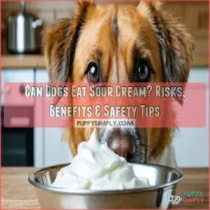 can dogs eat sour cream