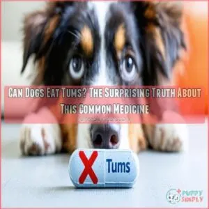 can dogs eat tums