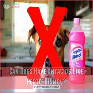 Can Dogs Have Antacids Like Pepto-Bismol