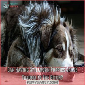 Can Having Stillborn Puppies Cause Trauma to The Bitch