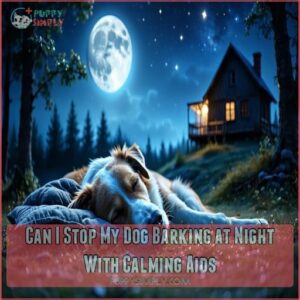 Can I Stop My Dog Barking at Night With Calming Aids