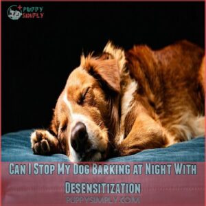 Can I Stop My Dog Barking at Night With Desensitization