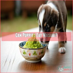 Can Puppies Eat Wasabi