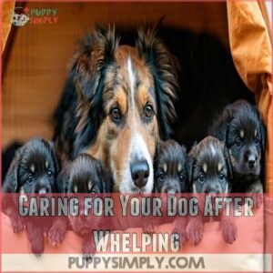 Caring for Your Dog After Whelping