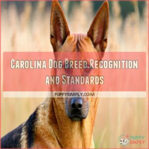 Carolina Dog Breed Recognition and Standards