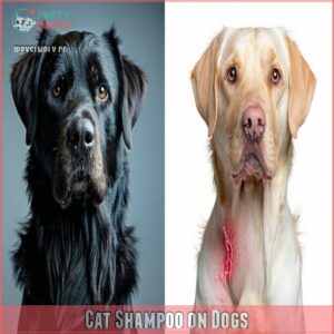 Cat Shampoo on Dogs