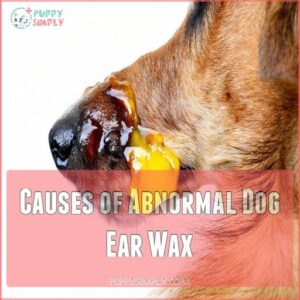 Causes of Abnormal Dog Ear Wax