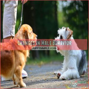 Changes in Male Behavior