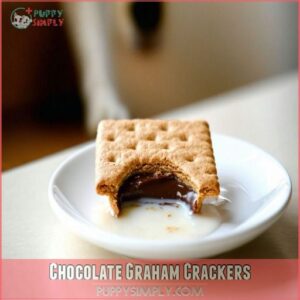 Chocolate Graham Crackers