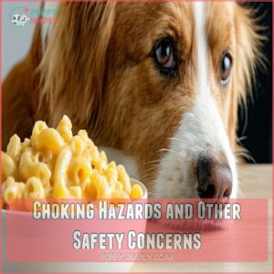 Choking Hazards and Other Safety Concerns