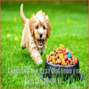 Choosing The Best Dog Food for Goldendoodles