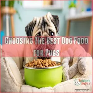 Choosing The Best Dog Food for Pugs