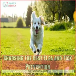 Choosing The Best Flea and Tick Prevention