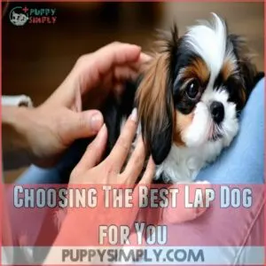 Choosing The Best Lap Dog for You