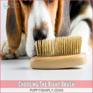 Choosing The Right Brush